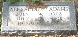 Alexander Adams 