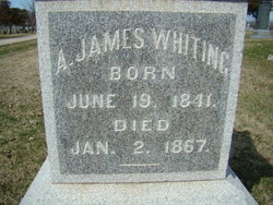 Ansel James Whiting 