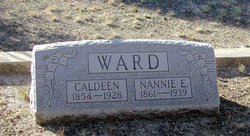 Nannie Elizabeth <I>Griffin</I> Ward 