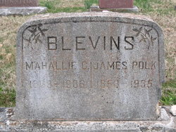 James Polk Blevins 