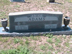 David Quincy Adams Jr.