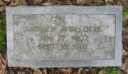 Andrew J Aydelotte 
