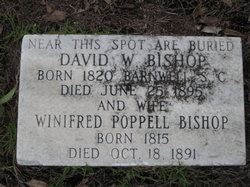 David W Bishop 