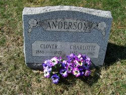 Worthington Clover Anderson 