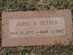 John Harvey Setter 