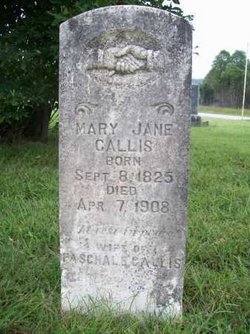 Mary Jane <I>Patterson</I> Callis 