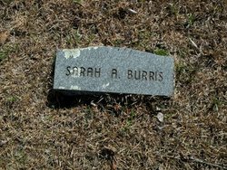 Sarah Ann <I>Burks</I> Burris 