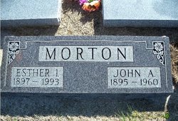 John Alfred Morton 