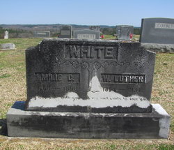 William Luther White 