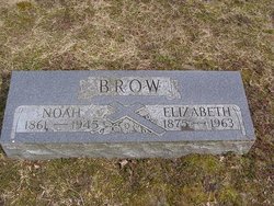 Noah Brow 