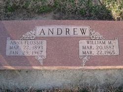 William M Andrew 