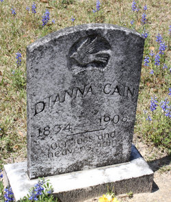 Dianna “Ann” <I>Myers</I> Cain 