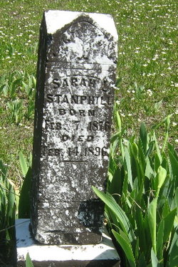 Sarah L. Jane Stanphill 