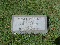 Wyatt Morely Mellon 