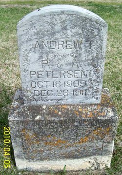 Andrew T Petersen 