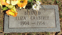 Eliza Agnes Jane “Lizzie” <I>Estep</I> Crabtree 