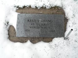 Reed S. Adams 