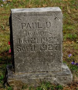 Paul D. Ammons 