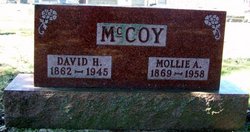 David H. McCoy 
