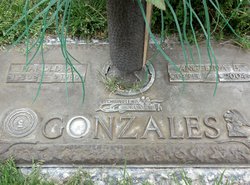 Harold A Gonzales 