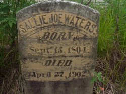 Sarah Sallie “Sallie Joe” <I>Warters</I> Waters 