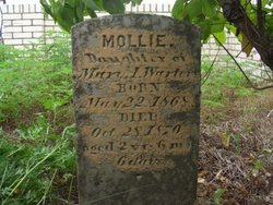 Mollie Warters 