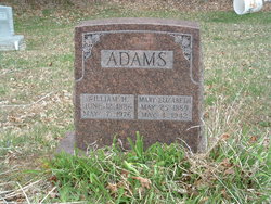 William H Adams 