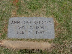 Anne <I>Love</I> Bridges 