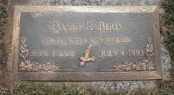 David R Bird 
