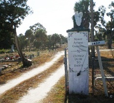 Mount Arrarat Cemetery