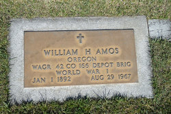 William H Amos 