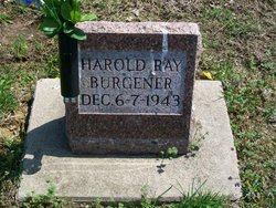 Harold Ray Burgener 