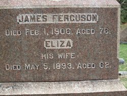 Eliza Jane <I>Templeton</I> Ferguson 
