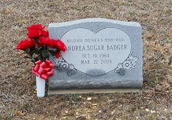 Andrea Sugar Badger 