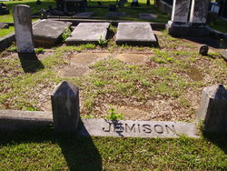 Virginia Ann Jemison 