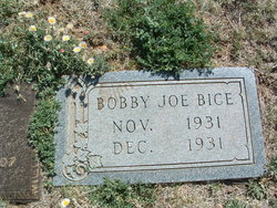 Bobby Joe Bice 