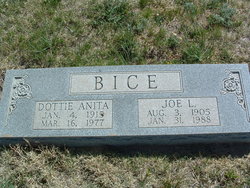 Joseph Longstreet “Joe” Bice Jr.