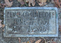 Elvie O. Winecoff 
