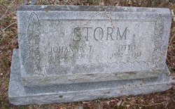 Johanna T. <I>Jenkins</I> Storm 