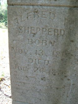 Alfred Fulton Shepperd 
