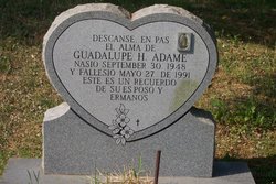 Guadalupe H Adame 