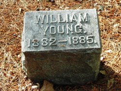 William Young Sturgeon 