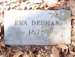 Eva Dedman 