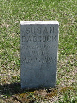 Susan Babcock 