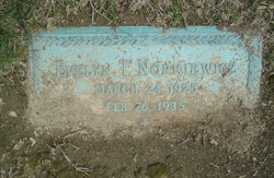 Evelyn T. Norkiewicz 