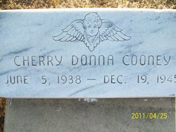 Cherry Donna Cooney 