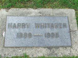 Harry Whitaker 