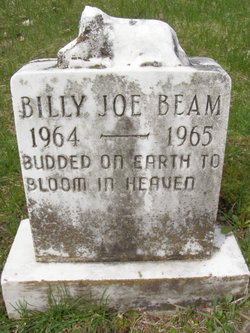 Billy Joe Beam 