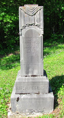 Luster Tennessee <I>Foster</I> Brantley 