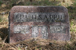Charles A. Diot 